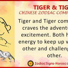 Tiger and Ox Love Compatibility, Relationship and Traits in Chinese Zodiac