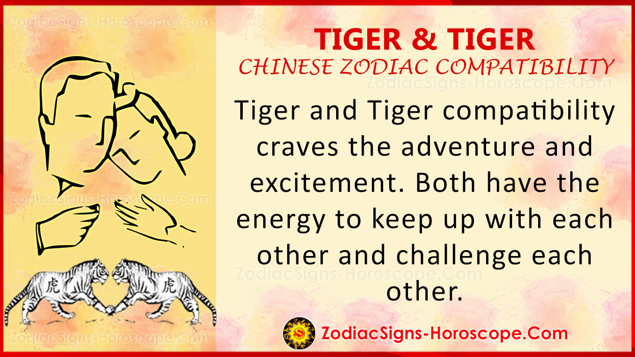 Tiger and Tiger Love Compatibility, Relationship & Traits in Chinese Zodiac