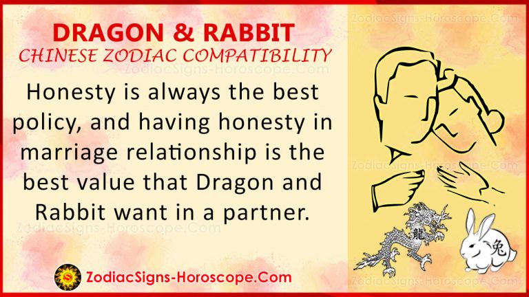 dragon-and-rabbit-chinese-zodiac-compatibility-love-and-relationship