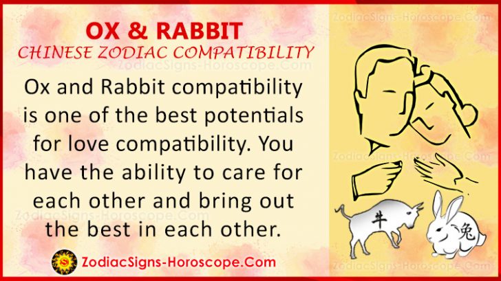 ox-and-rabbit-love-compatibility-relationship-traits-in-chinese-zodiac