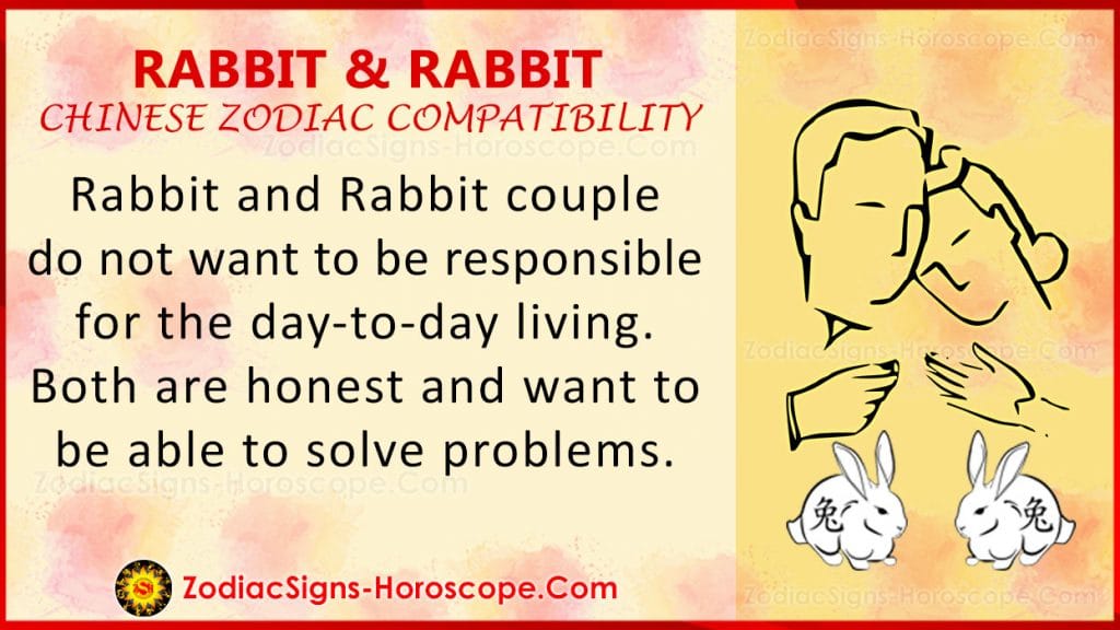 rabbit-and-rabbit-chinese-zodiac-compatibility-love-and-relationship