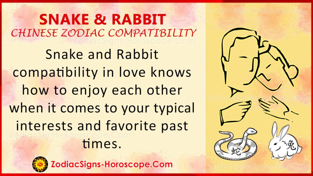 snake-and-rabbit-chinese-zodiac-compatibility-love-and-relationship