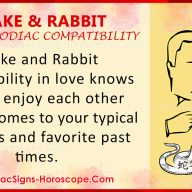 Snake and Tiger Chinese Zodiac Compatibility: Love and Relationship