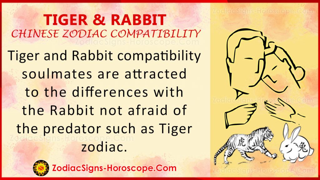 Tiger and Rabbit Love Compatibility, Relationship, Traits in Chinese Zodiac