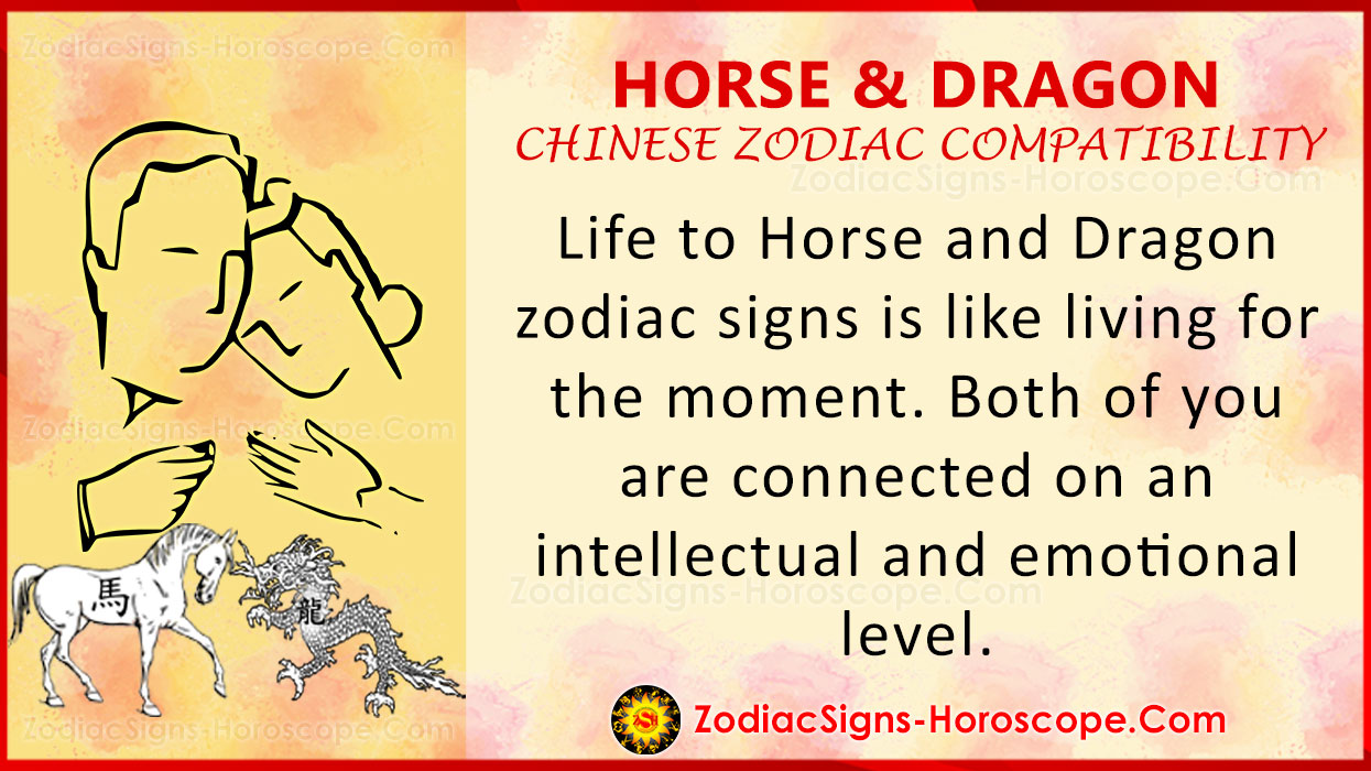 chinese astrology horse compatibility