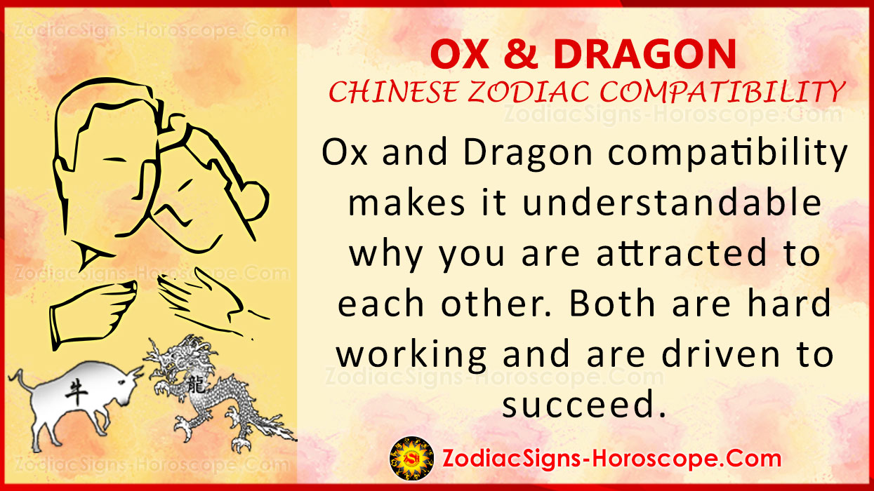 Ox and Dragon Love Compatibility, Relationship and Traits in Chinese