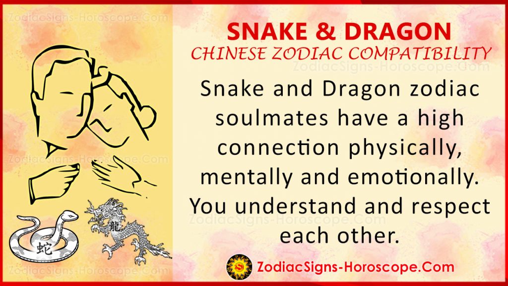 chinese astrology snake compatibility