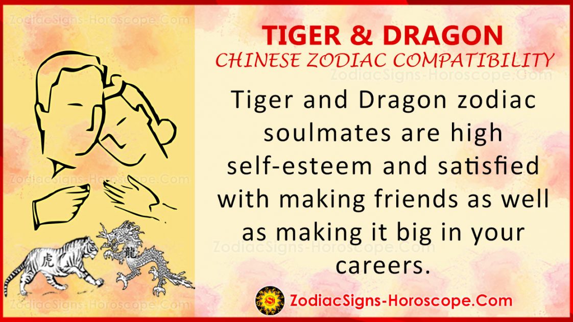 tiger-and-dragon-love-compatibility-relationship-traits-in-chinese-zodiac