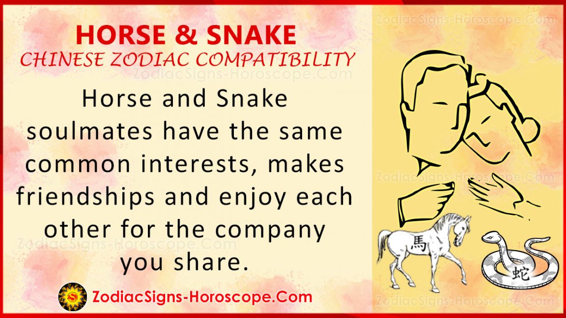 Horse and Snake Chinese Zodiac Compatibility Love and Relationship