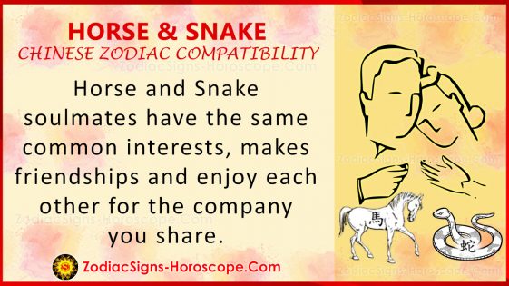 horse-and-snake-chinese-zodiac-compatibility-love-and-relationship