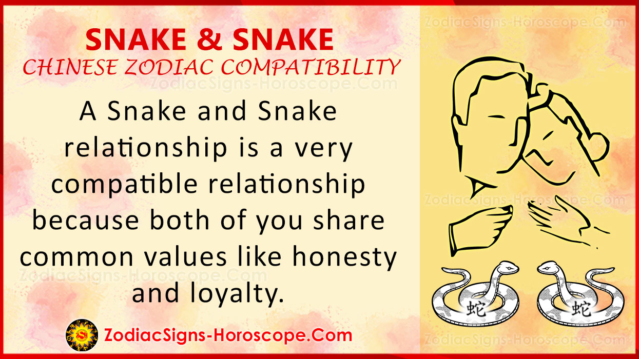 snake-and-snake-chinese-zodiac-compatibility-love-and-relationship