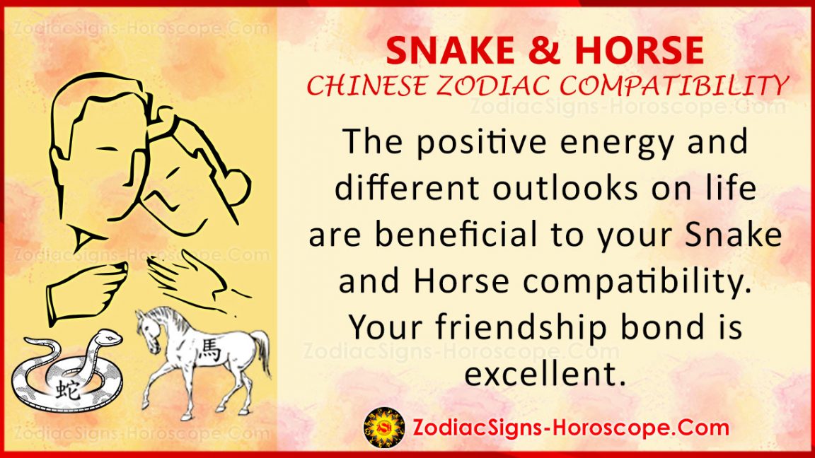 Snake and Horse Chinese Zodiac Compatibility Love and Relationship