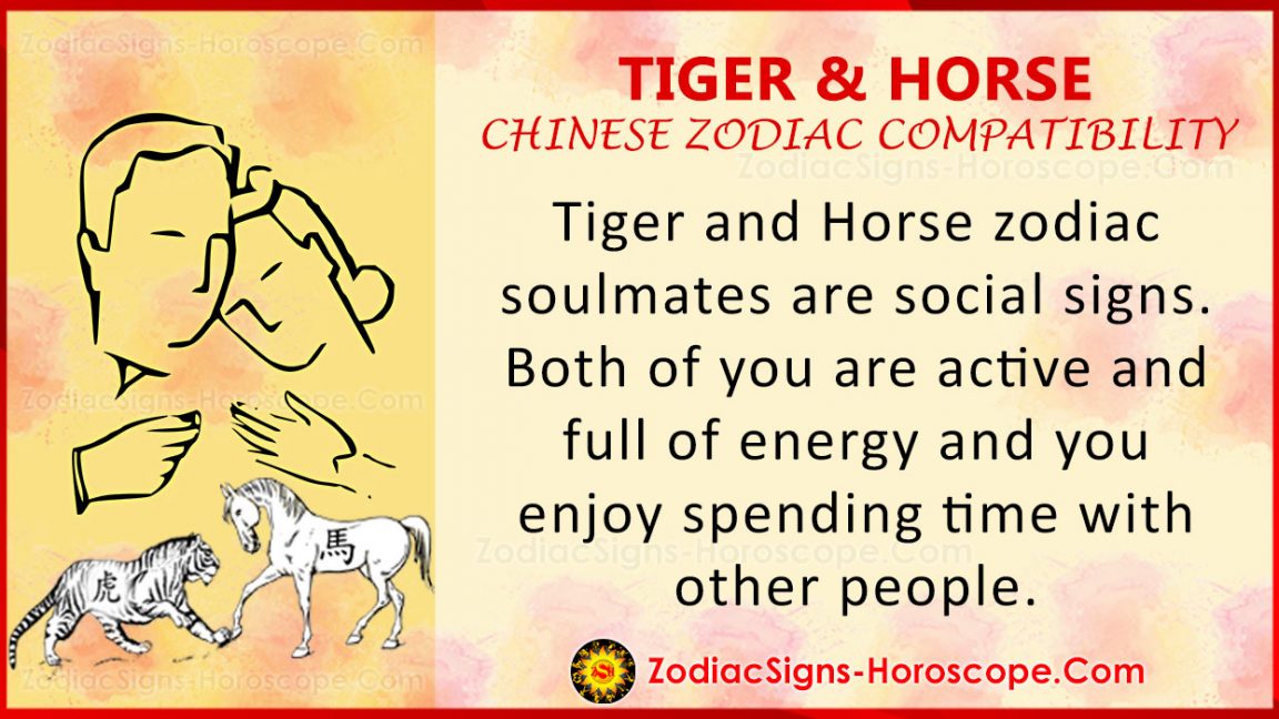 Tiger and Horse Love Compatibility, Relationship, Traits in Chinese Zodiac