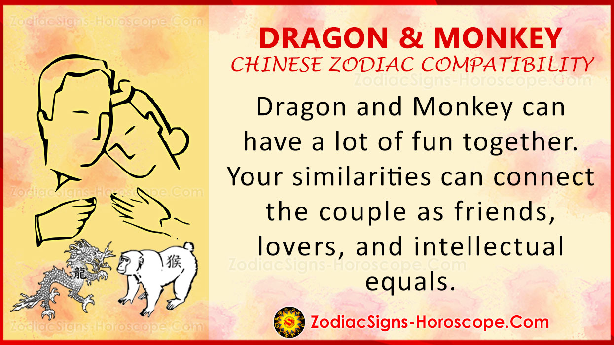 dragon-and-monkey-chinese-zodiac-compatibility-love-and-relationship
