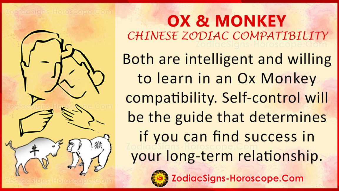 Ox and Monkey Love Compatibility, Relationship, Traits in Chinese Zodiac