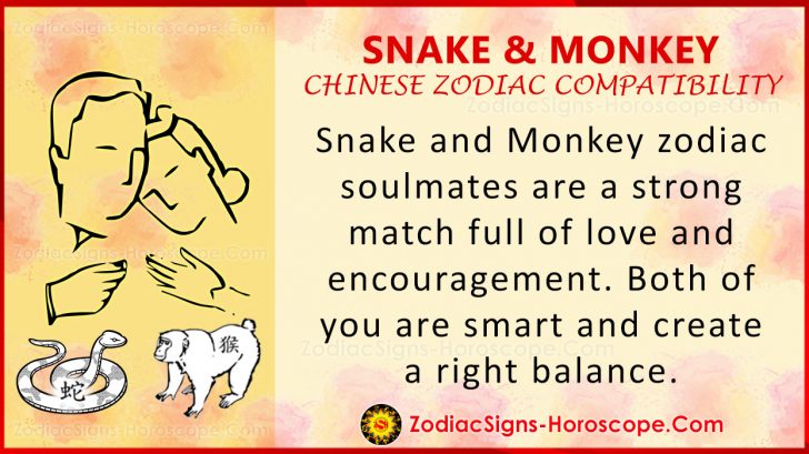 snake-and-monkey-chinese-zodiac-compatibility-love-and-relationship