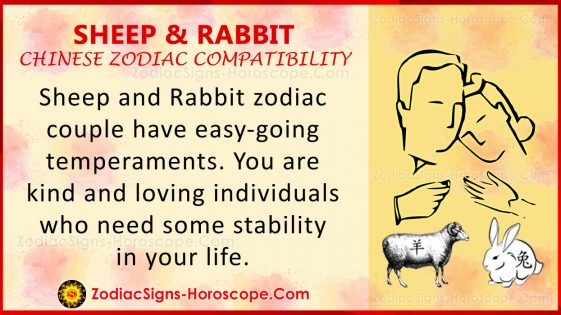 sheep-and-rabbit-chinese-zodiac-compatibility-love-and-relationship