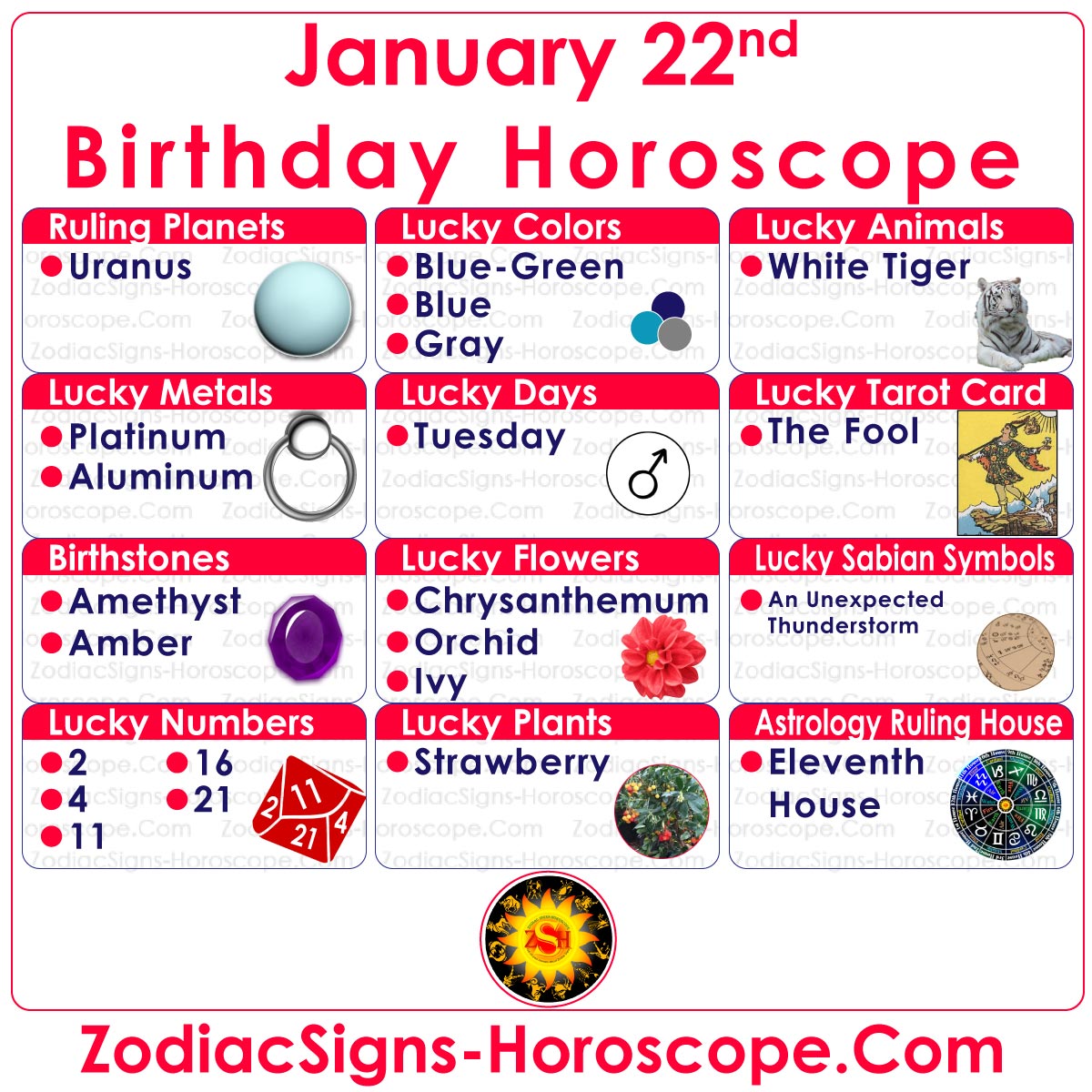 January 22 Zodiac (Aquarius) Horoscope Birthday Personality and Lucky