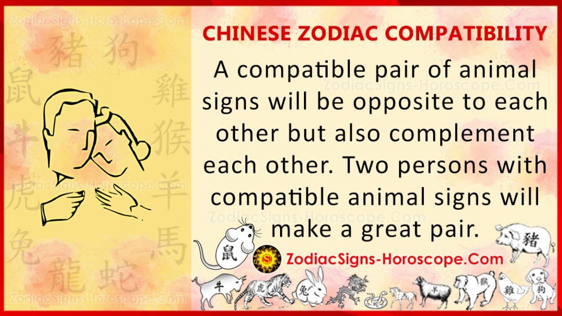 chinese love astrology compatibility