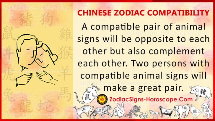 chinese zodiac astrology compatibility