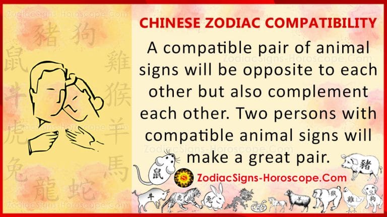 chinese astrology compatibility test