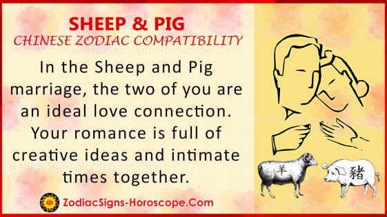 sheep-and-pig-compatibility-love-and-marriage-in-chinese-zodiac