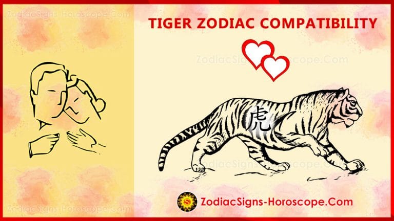 tiger-compatibility-love-and-marriage-chinese-zodiac-compatibility