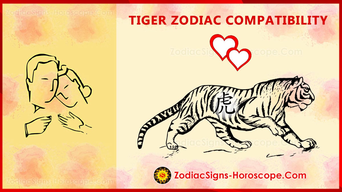 Tiger Compatibility, Love and Marriage Chinese Zodiac Compatibility