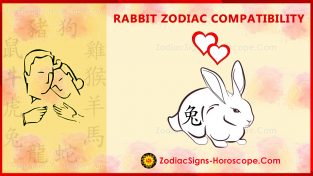 Rabbit Compatibility, Love and Marriage - Chinese Zodiac Compatibility