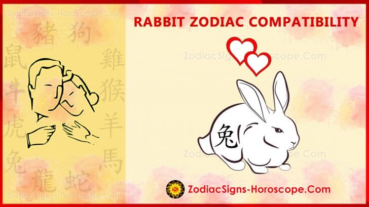 Chinese New Year Rabbit And Tiger Compatibility