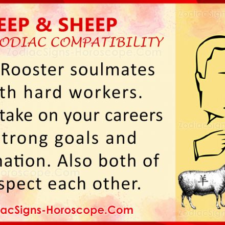 astrology chinese 2018 sheep