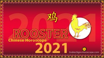 Pig Horoscope 2021 Year Of Travelling In 2021 For The Pig Zodiac Zsh