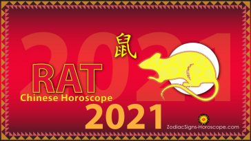 Rat Horoscope 2021 - Rat 2021 Predictions say Great Opportunities | ZSH