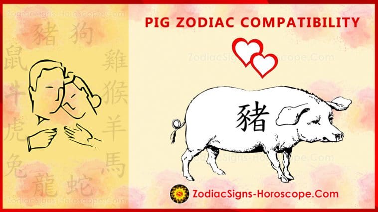 pig-compatibility-love-and-marriage-chinese-zodiac-compatibility