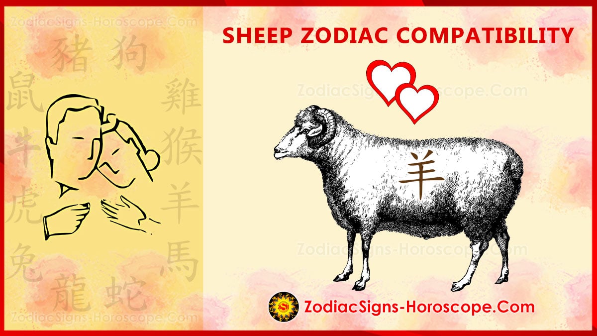 sheep-chinese-zodiac-personality-love-health-career-and-5-elements