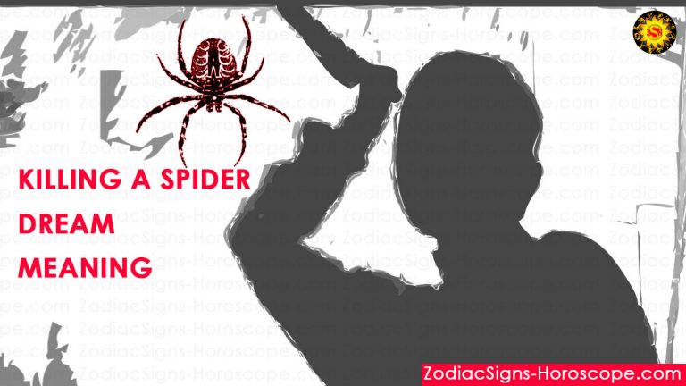 killing-a-spider-dream-meaning-interpretation-and-symbolism