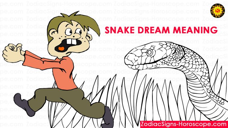 dream of seeing lots of snakes