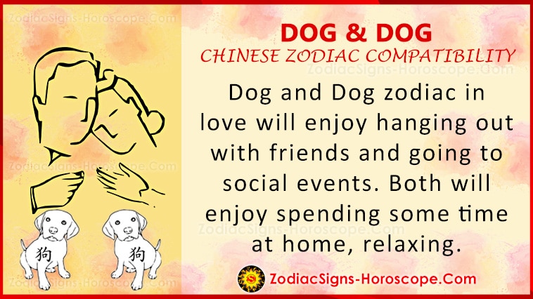 dog-and-dog-compatibility-chinese-zodiac-traits-and-love-compatibility