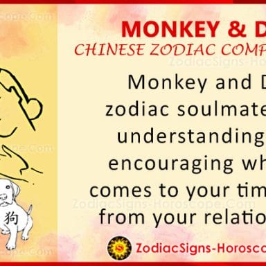 Monkey and Rooster Compatibility: Zodiac Traits and Love Compatibility