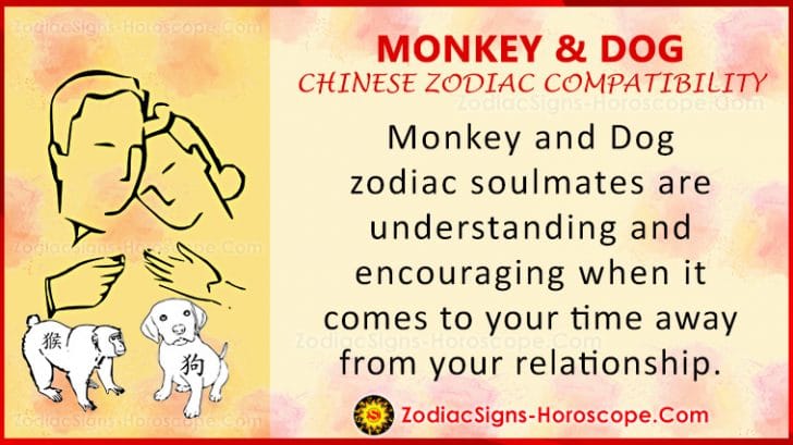 Rabbit And Dog Compatibility Zodiac