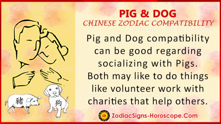 pig-and-dog-compatibility-chinese-zodiac-traits-and-love-compatibility