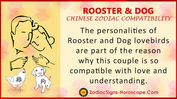 rooster-and-dog-chinese-zodiac-compatibility-love-and-relationship