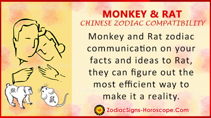 monkey-and-rat-compatibility-love-relationship-traits-in-chinese-zodiac