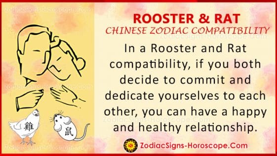 rooster-and-rat-compatibility-zodiac-traits-and-love-compatibility