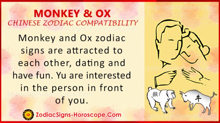 monkey-and-ox-compatibility-love-relationship-traits-in-chinese-zodiac