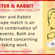 Rooster and Tiger Compatibility: Zodiac Traits and Love Compatibility