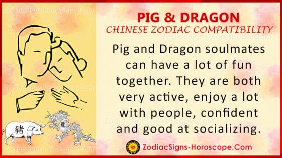 pig-and-dragon-compatibility-zodiac-traits-and-love-compatibility