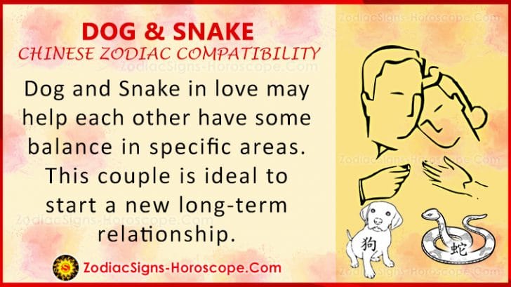 dog-and-snake-compatibility-zodiac-traits-and-love-compatibility