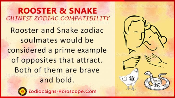 6 Rooster Snake Chinese Compatibility 728x409 