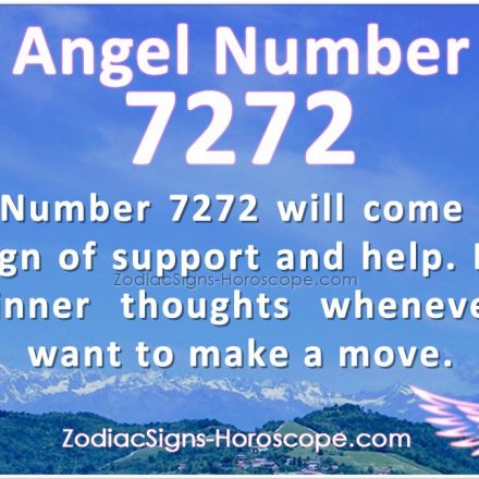 Angel Number 6464 helps you to shine above everyone wherever you go